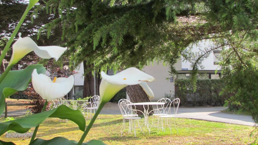 Hotel Arc En Ciel Oleron Saint-Trojan-les-Bains Exterior foto
